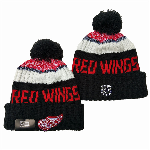 Detroit Red Wings 2024 Knit Hats 005